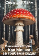 Мишкины истории. Как Мишка за грибами ходил