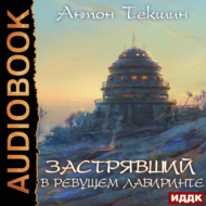 Застрявший. Книга 4. Застрявший в Ревущем лабиринте