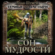 Сон мудрости