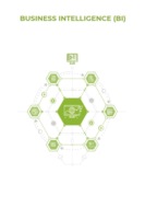 Business Intelligence (BI)