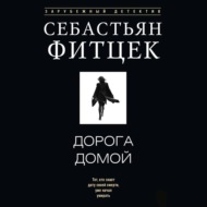 Дорога домой
