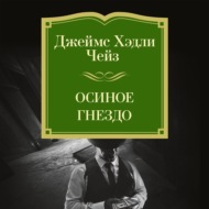 Осиное гнездо