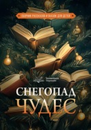 Волшебный переплёт. Снегопад чудес