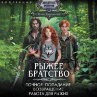 Рыжее братство: Точное попадание. Возвращение. Работа для рыжих