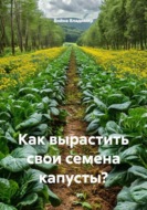 Как вырастить свои семена капусты?
