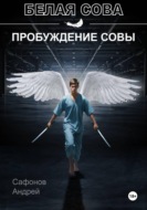 Пробуждение совы