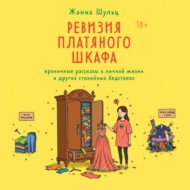 Ревизия платяного шкафа. Ироничные рассказы о личной жизни и других стихийных бедствиях