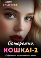 Осторожно, Кошка – 2