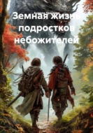 Земная жизнь подростков небожителей