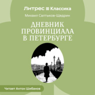 Дневник провинциала в Петербурге