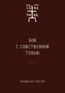 Бой с собственной тенью. Заметки православного воина (книга вторая)