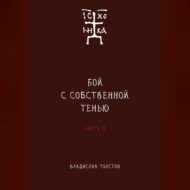 Бой с собственной тенью. Заметки православного воина (книга вторая)