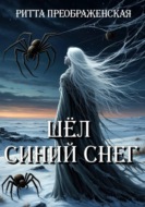 Шёл синий снег
