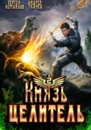 Князь Целитель 2