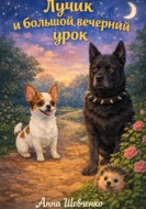 Лучик и большой вечерний урок