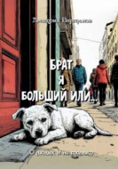 Брат я больший или