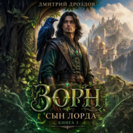 Зорн. Сын лорда. Книга 3