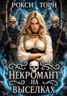 Некромант на выселках