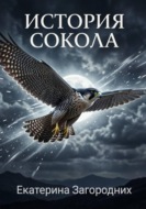 История "Сокола"