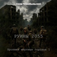 Руины 2055. Хроники мёртвых городов 1