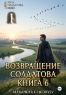 Возвращение Солдатова. Книга 6