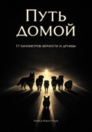 Путь домой 2. Семнадцать километров верности и дружбы