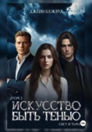Искусство быть Тенью. Свет и Тьма. Том 2