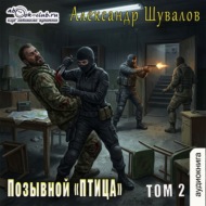Позывной «ПТИЦА». Том 2