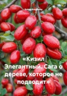 Кизил Элегантный. Сага о дереве, которое не подводит
