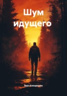 Шум идущего