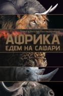 Африка. Едем на сафари