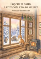 Барсик и окно, в котором кто-то машет
