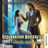 Ведьминский факультет. Книга вторая. Котел невезения