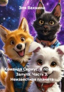 Команда Сириус. В поисках Залула. Часть 3. Неизвестная планета