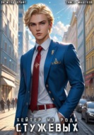 Хейтер из рода Стужевых – 5