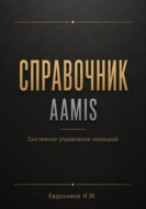 Справочник AAMIS  системное управление командой