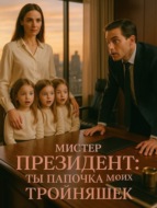 Мистер Президент: Ты папочка моих тройняшек. Книга 1