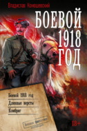 Боевой 1918 год