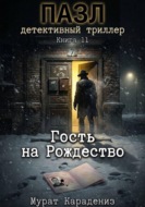 Гость на Рождество