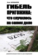 Гибель Пригожина: что случилось на самом деле