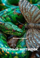 Лунный мотылек
