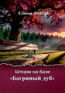 Шторм на базе "Багряный дуб"