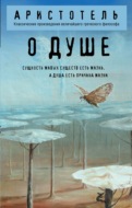 О душе