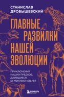 Главные развилки нашей эволюции. Приключения наших предков, длившиеся 66 миллионов лет