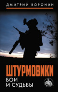 Штурмовики. Бои и судьбы