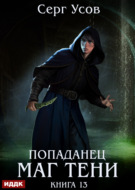 Попаданец. Маг Тени. Книга 13