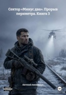 Сектор «Минус два». Прорыв периметра. Книга 3
