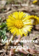 Мать-и-мачеха на льду