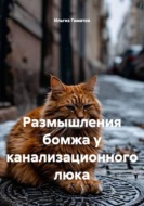 Размышления бомжа у канализационного люка