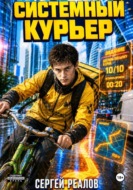 Системный курьер 1